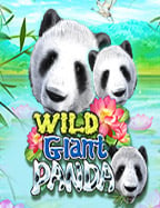 สัมผัสประสบการณ์ใหม่กับ win win won slot